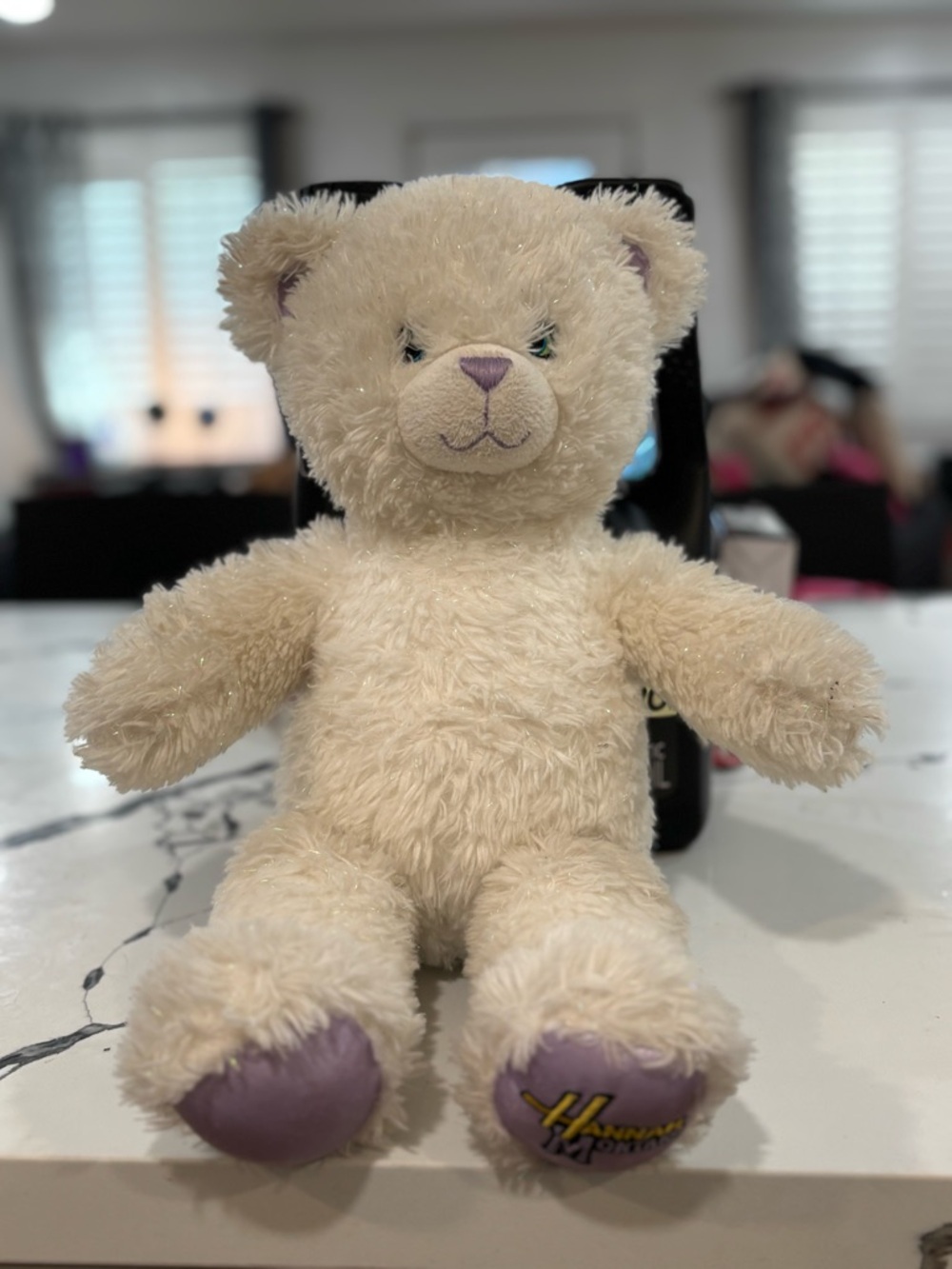 Hannah Montana Build A Bear
